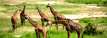 Arusha National Park