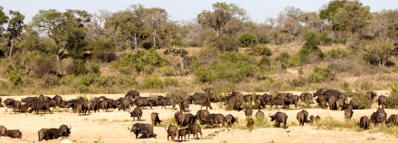 Rungwa Game Reserve