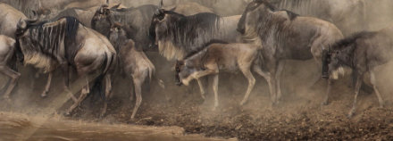 Serengeti National Park