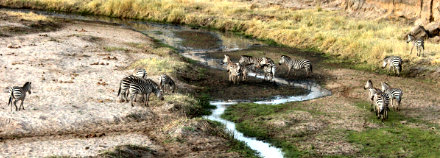 Tarangire National Park