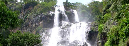 Udzungwa National Park